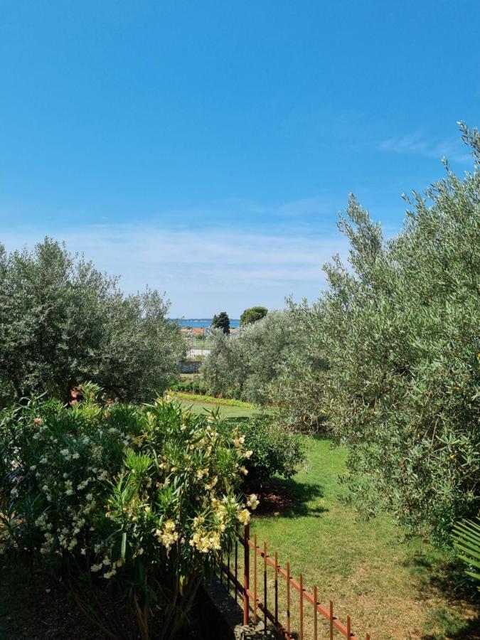 Apartments Jelena بيروغ المظهر الخارجي الصورة