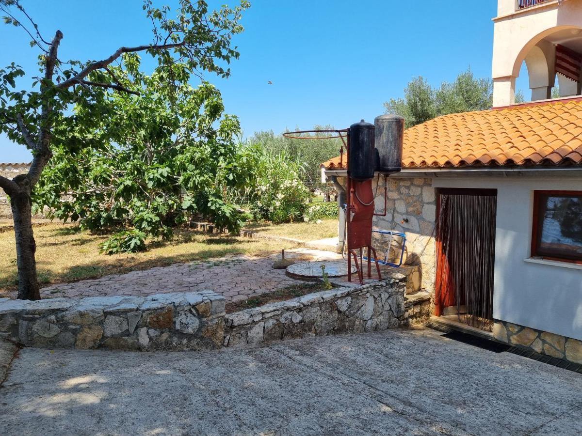 Apartments Jelena بيروغ المظهر الخارجي الصورة